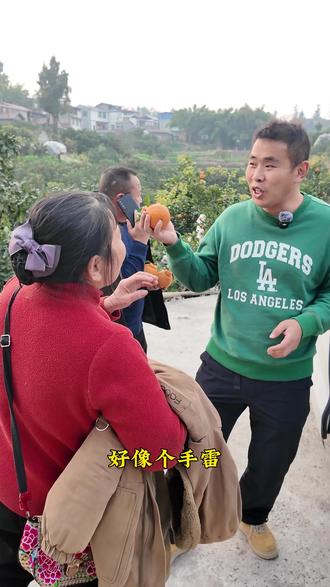 这样的耙耙柑你见过吗? #耙耙柑熟了 在产地选果,要先跟果农定好标准,得严格筛选。#耙耙柑 #溯源 #春见耙耙柑 #立春了