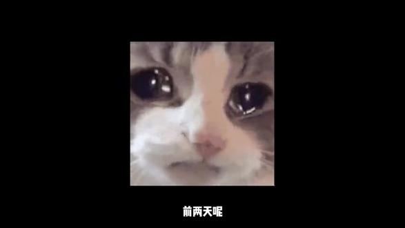 MC都市传说:挑战心里极限的场景,你能看完吗?