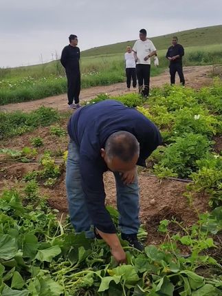#陈平安#阮家胜