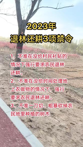 2023年
退林还耕3项禁令