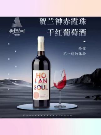 贺兰神2019有机赤霞珠干红葡萄酒国产宁夏贺兰山东麓庄园特产红酒