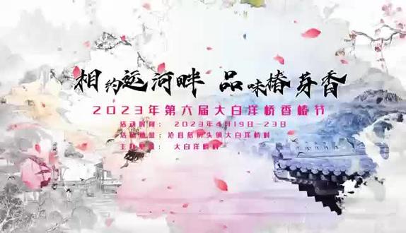 沧县纸房头镇大白洋桥香椿节