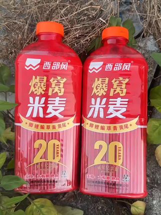 西部风新品爆窝米麦活动来了!无论是大板鲫,还是鲤鱼、青鱼、草鱼、鳊鱼,就用它效果不错哟!#钓鱼#酒米打窝#酒米窝料#西部风#大板鲫