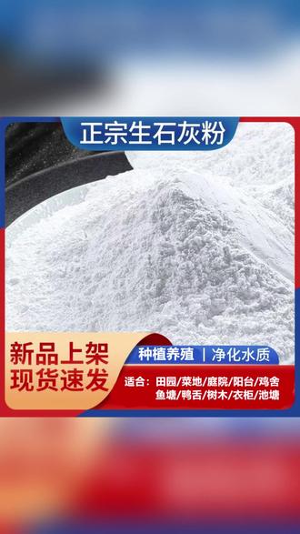 正宗生石灰粉菜地菜园阳台鱼塘鸡鸭牛舍驱虫刷树生石灰菜地专用 #生石灰粉 #生石灰 #种植小技巧 #我的乡村生活 #土壤改良