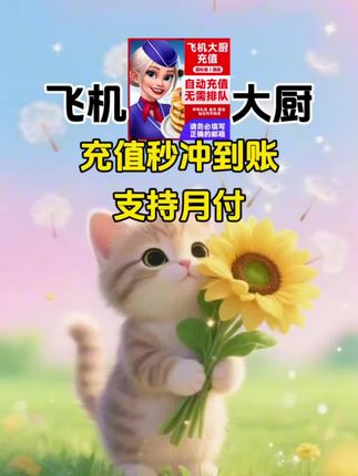 飞机大厨充值,支持国服,外服!#飞机大厨 #飞机大厨教程 #飞机大厨攻略 #飞机大厨钻石