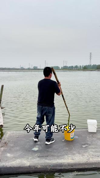 厄尔尼诺现象对水产养殖行业的影响 #水产养殖 #海澜生科 #鱼虾蟹养殖 #水产养殖技术 #水产人