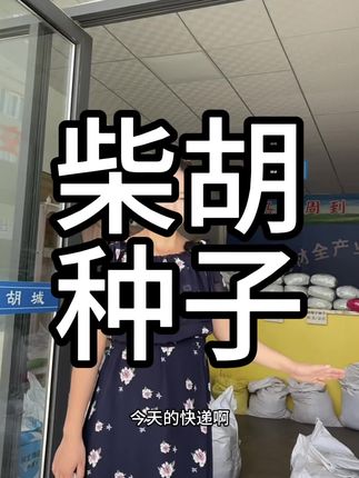 柴胡种子发走了#柴胡#北柴胡
