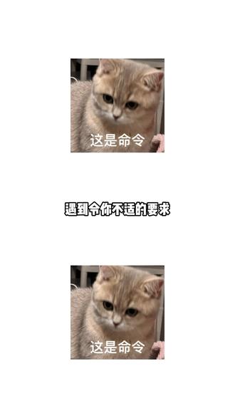 愿咱们牛马打工人都能平平安安#天津跳伞遇难女员工原本今年订婚