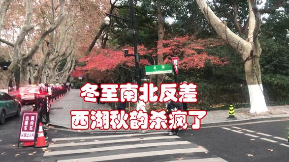冬至南北反差!西湖秋韵杀疯了 12 月 21 日冬至!北方大雪纷飞冻到跺脚,杭州却阴天锁死秋韵!苏堤北口、白堤、孤山路满是江南温柔,这南北气候反差直接拉满!速来围观西湖的冬日限定浪漫!#西湖秋韵 #冬至南北反差 #杭州旅游 #断桥 #江南冬日 @今日头条 @杭州文旅
