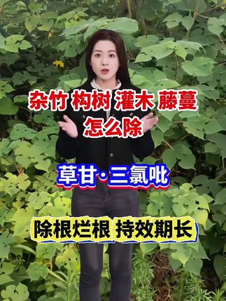 #除构树 #除灌木 #三农 #三农种植 #农业种植