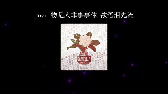 他在思念什么 每日每夜#音乐 #降调 #茶花开了该回家了 #音乐分享