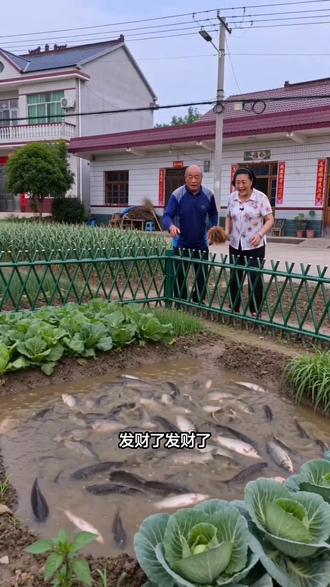 #AI菜园刨地遇鱼涌 #随变ai随便玩