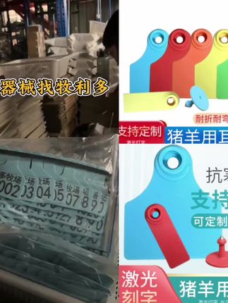 #兽用耳标 牧利多 猪羊用耳标牌兽用耳标激光打印可定制耳标钳记号笔#兽用耳标钳 #兽用耳标针 #耳标#耳标钳@巨量千川 @DOU+上热门 @小店随心推