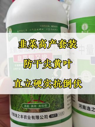 韭菜高产套装 韭菜粗又嫩 直立挺拔素 韭菜专用肥 #韭菜种植秘诀 #韭菜种植方法 #韭菜种植技术 #韭菜种植