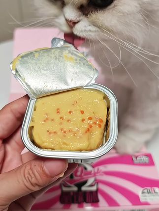 猎奇新品美毛晶球杯猫咪餐盒,补水又美毛,对毛发质量有要求的铲屎官可以给你家猫孩子试试 #萌宠好物 #猫罐头 #猎奇餐盒 #猎奇晶球杯 #美毛罐头