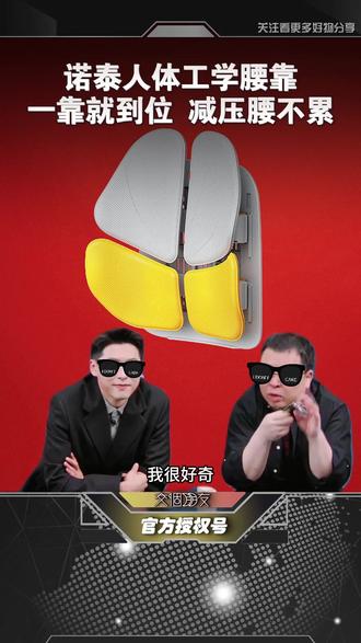 开长途车,久坐党必入! 诺泰减压腰靠垫人体工学车载办公室护腰坐姿椅送礼#罗永浩#腰靠#护腰#诺泰腰靠#礼物