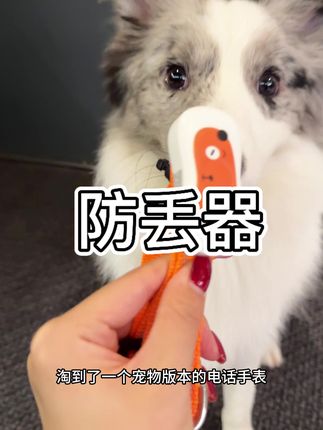 谁懂,养狗人的顾虑真的被狠狠照顾到#宠物防丢 #电话手表 #萌宠