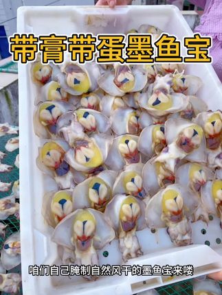 东海带膏带蛋墨鱼宝,新品福利价上线啦#墨鱼宝 #墨鱼 #乌贼干
