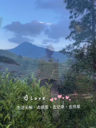 凤凰茶区的山与川。。#茶农茶事 #凤凰单丛茶
