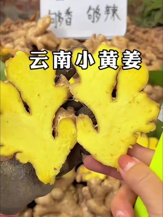 #姜#小黄姜#超便宜超划算 #产地直发 #姜味十足