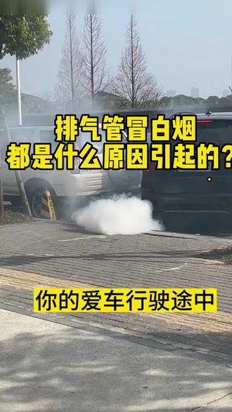 在行驶途中排气管冒白烟!咋回事?怎么办?#每天一个用车知识 #百援精养 #百援精养养车护家