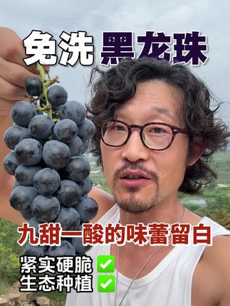 不膨大的黑龙珠葡萄,香甜爽口,甜中带一丝丝果酸,喜欢吃葡萄的朋友一定要试试,好评复购都超高的一款葡萄!#葡萄🍇 #无籽葡萄 #夏黑葡萄 #葡萄熟了 #新品种葡萄