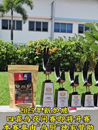 2025年新加坡🇸🇬 四喜鸟夜间赛即将开赛 本赛事由“鸟厨”独家赞助 赛时:2025年10月18日夜#四喜鸟 #四喜鸟食 #四喜鸟粮 #四喜鸟饲料 #四喜鸟料
