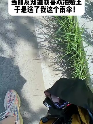 “有了这把伞,每天都期盼下雨,因为就算一个人淋雨也不会感到孤单”#海贼王 #雨伞 #海贼迷 #海米一家