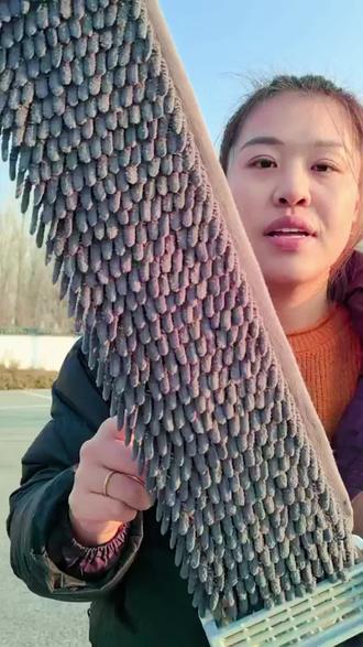 懒人必备!平板拖把一拖即净,还能免费退哦! 家里地面脏难擦?这款好物帮你轻松搞定!还有运费险哦~#居家好物#好物推荐#免手洗拖把#雪尼尔拖把#不能错过的双12必买清单