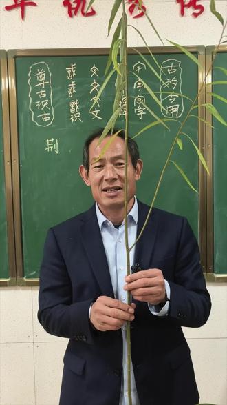 杨校长和你一起识文解字第90一一荆。