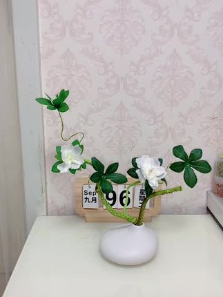 这个叫栀子花,你们看栀子花是什么感觉?有线条感,赏花、赏叶、赏枝条,打破沉闷,绿意盎然。你家里浅色放上去他就是有色色,色彩感的感觉是,然后你家里深色茶几、编辑大空间、小空间都可以。#创意手工 #花瓶摆件 #栀子花 #家居好物