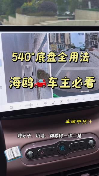比亚迪海鸥车主必看!#比亚迪 #比亚迪海鸥 #海鸥智驾 #540度全景影像 #用车小知识