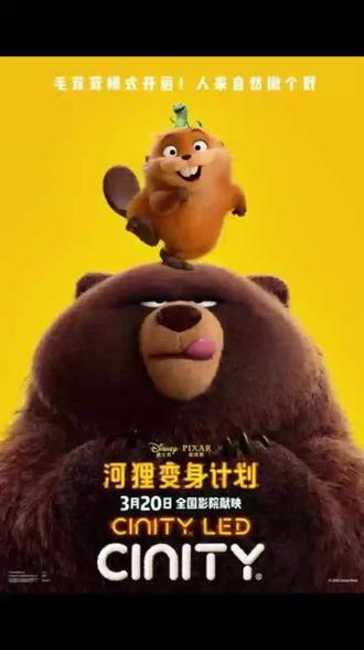 🎬中影引进发行电影《河狸变身计划》正在热映中!
🎞️推荐来中影国际影城CINITY观看!
✨大银幕为你还原毛茸茸质感,真实到想伸手!#中影国际影城#河狸变身计划#麻城广场