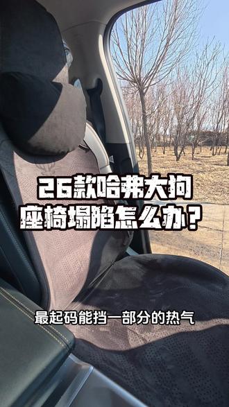 新车刚提回来就按了坐垫套,真能让座椅不塌陷是吗?#哈弗大狗 #座椅塌陷 #坐垫 #汽车坐垫 #全包坐垫四季通用