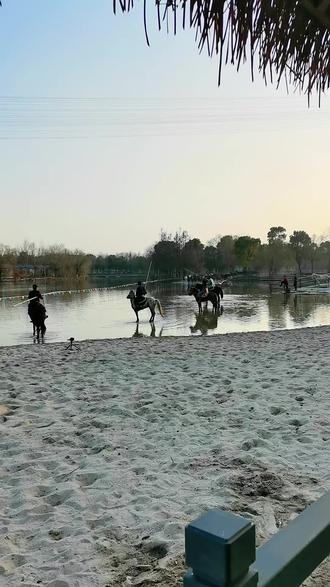 2026初一正式开演天马浴和,一马当先!