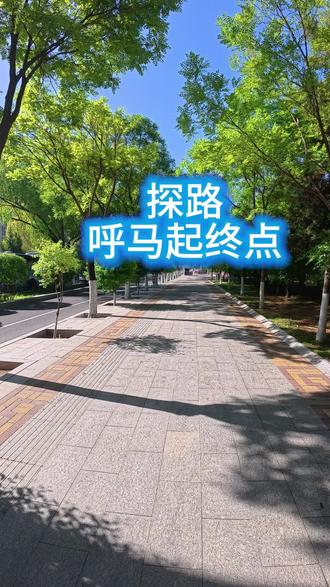 #马拉松参赛准备 探路呼马起终点