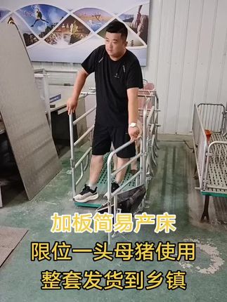 单体加板简易母猪产床,限位一头母猪使用 全国发货#养猪人 #母猪产床 #单体产床 #双体产床 #简易产床