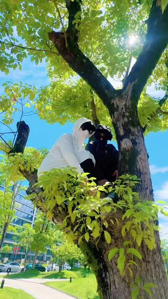 #上不了热门 我就上树🌲😂😂😂#户外搞怪日常