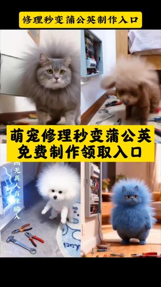 萌宠修电箱Ai特效教程免费制作入口,#小狗修电箱ai 小狗修电箱ai教程 #即梦ai 小狗修电器的视频 小狗修电路板图片 小狗修指甲ai #小狗修电箱 小狗修圆头 小狗电表箱装饰 小狗修水管 小狗修手机 小狗修机械怎么搞 小狗修细节用哪个剪刀 洗澡小狗ai教程 小狗修电 小狗修毛电推剪 修理秒变蒲公英 修理小视频教学 修理变身 ai萌宠治愈变装教程 ai萌宠修电箱教程 ai萌宠摄影教程 ai萌宠剪映制作 ai萌宠拆解 ai萌宠电子换装 ai萌宠修图提示词 AI萌宠设计教程 ai萌宠制作视频 AI萌宠制作壁纸 ai萌宠电子换装特效 ai萌宠做烤串特效 ai萌宠治愈变装秀 ai萌宠治愈变装特效 ai萌宠特效头套 ai萌宠特效 一键解锁超可爱萌宠ai特效 AI萌宠电子换装特效推荐 ai萌宠油画特效 狗狗触电毛发蓬松原因 狗狗触电毛发蓬松特效 狗狗触电毛发蓬松搞笑视频 #狗狗触电毛发蓬松 科基修车触电毛发蓬松 狗狗被触电 狗狗咬电线触电 金毛犬维修电箱搞笑视频 狗狗毛发蓬松神器 狗狗触电毛发蓬松后续 #狗狗毛发蓬松特效 狗狗触电后的反应特效 狗狗脱毛特效 怎样让狗狗的毛发变蓬松 狗狗雷电特效 狗狗毛发蓬松神器电动 狗狗闪光特效 狗狗触电 ai修电表 ai修特效 AI修特效图片口令 ai修废片特效 AI修照片特效 ai修漫展特效 ai修照片哪个特效 ai修视频神器 ai修效果图提示词 ai修特效照片软件 ai修电 ai修光影特效 ai修自动修效果图 ai修夜景图指令 ai修图特效官方教材 ai萌宠视频制作教程 ai萌宠修车工 ai萌宠写实风特效工具 ai萌宠特效工具 ai萌宠设计素材 ai萌宠怎么制作 ai萌宠整活视频 ai萌宠剪同款 ai宠物特效同款 ai指尖萌宠特效工具 ai萌宠烫发特效 ai萌宠电子换装音乐 ai萌宠修图 ai萌宠电子换装剪映 ai萌宠电子变装 ai萌宠煮菜 ai萌宠智能设备 ai萌宠镶钻 ai萌宠电子换装特效拍同款 AI萌宠烫发特效 ai宠物特效同款工具 ai萌宠抖音特效 ai萌趣四宫格特效同款推荐 ai萌宠修仙特效 Ai萌宠照顾老人特效 萌宠小厨特效教程 萌宠小厨特效在哪找 萌宠小电工特效 萌宠ai特效 萌宠小特效 萌宠小厨动态特效 萌宠特效 萌宠小厨特效制作 萌宠大怨种特效 ai萌宠特效同款 手机小萌宠特效教程 萌宠小厨特效使用教程