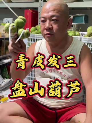 青皮盘山葫芦 拍一发三 #文玩核桃 #文玩爱好者 #青皮核桃 #盘山葫芦