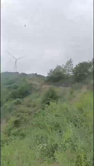 #骑行#最美乡村风景 #骑行vlog
古驿沧桑:秦州古驿道的前世今生
历史上,有一条至关重要的古驿道,它宛如一条坚韧的纽带,将秦州与礼县、西和、宕昌、岷县、汉中、四川等地紧密相连。这条驿道,不仅是人们日常往来的通道,更是商贾云集、贸易交流的繁华之地,粮道畅通无阻,百货琳琅满目,邮路四通八达。
在秦州区境内,它的路线是:从秦州西门出发,一路向南,途经天水郡、暖和湾、冰凌寺,随后西渡南河抵达小寨。接着,进入吕家河沟、野雀湾,再上山至热寺湾、小坡寺,越过山梁来到谢崖后顺势下山,经高磨,从杜集寨踏上箭杆岭梁。之后,下沟又上山,穿过小岭村,顺着河流下行,依次经过李集寨、文家集、汪家团庄、辛大村、双闫村,抵达礼县罗家堡。
这条驿道,曾不定期地得到官方的拓宽与维修,行道树整齐排列,为道路增添了一抹生机。它分段由各乡(当时为里)管理,秩序井然,因而辉煌一时。它还是一条历史悠久的“茶马古道”。
历史上,这条驿道车水马龙,驮队成群,商贾往来频繁,异常繁荣。信使们骑着骏马,身着明黄马褂,马戴黄铜帮铃,在驿道上往来不绝,传递着重要的信息。而秦州区华岐镇,作为这条古驿道上的重要节点,流传着许多神奇的传说。
据说,汉代马援将军征战至华岐谢范山的古驿道时,只见这里山势险要,高峻秀丽。向当地老乡打听后,才得知此处的山峰叫“黑鹰嘴”,山上有一堡,亦称“黑鹰堡”。马援将军站在堡墙上,拉开弓箭,朝秦州城方向射去。随后,他令士兵逢山砍林而进,一边开路一边寻找那支箭,直至山腰才寻得箭杆。后来,人们便将这条山岭称为“箭杆岭”。
箭杆岭山势雄奇,峭峰壁立,宛如利剑直插云霄;林木苍翠,郁郁葱葱,仿佛是大自然精心雕琢的绿色屏障。登上峰顶极目远眺,大有“会当凌绝顶,一览众山小”的豪迈气势,令人心旷神怡,豪气倍增。周围群山环绕,重峦叠嶂,格外险峻,构成了有名的“箭杆岭雄关”。
建国前,这里曾是土匪打劫客商的险地。客商们一到箭杆岭山脚下,便提心吊胆,四处张望,生怕土匪突然出现。尤其是从东山脚西行,上山要经过一个叫“一愁肠”的地方,更是令人惊恐万状。这一路段长约百米,两头各有一小山遮挡,为土匪提供了绝佳的藏身之处。由此再上行,便到一段叫“二放心”的地方。这里视野较为开阔,前后左右可见来人,行人心里才较为平静下来。再前行二百米,便到峰岭的顶端(下文建评论区)