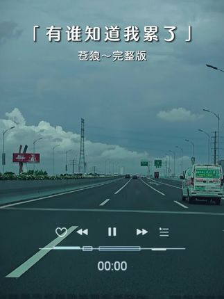 #苍狼#情感音乐#情感音乐一首歌一个故事
