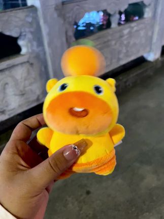 我也有可爱的水豚噜噜啦~#挂件 #可爱 #玩偶 #