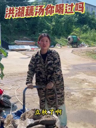 立秋了洪湖的煲汤粉藕上市啦,粉糯香甜,沙沙糯糯趁热喝一口下去哇塞太好喝了!#洪湖莲藕 #莲藕排骨汤 #优质农产品 #湖北美食 #新农人计划