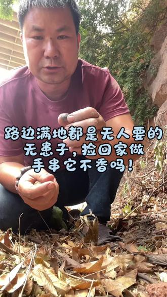 路边满地都是无人要的无患子,捡回家做手串它不香吗! #我的农村生活 #捡落地果 #无患子#无患子手串 #无患子果