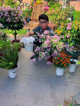 养花,我喜欢这种轻便又美观的花盆,关键价格也很给力#爱生活爱养花 #花盆