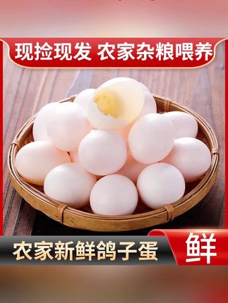 #鸽子蛋 #新鲜鸽子蛋 #蛋 #新鲜 #早餐吃什么