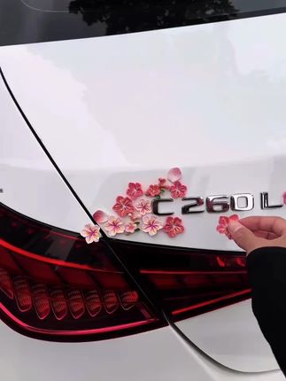 亲们,谁会拒绝女朋友送的樱花瓣3D立体车贴,贴在屁股上也太好看了趴#阔爱炸了