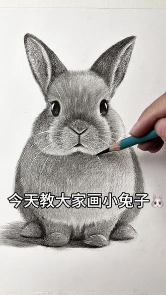 教大家画一个超可爱的小兔子! #零基础素描 #素描笔迹 #素描教程 #素描 #兔子