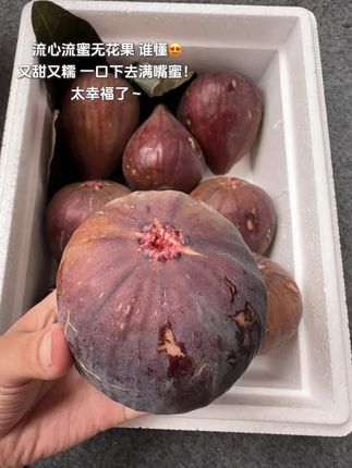 谁懂啊!一口咬下去又甜又糯,满嘴都是蜜!#无花果 #现摘现发新鲜到家 #新鲜无花果 #吃无花果的好处 #软糯香甜